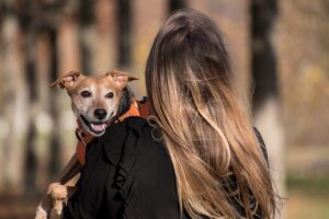 Gadgets That Will Save Time and Keep Pets Happy